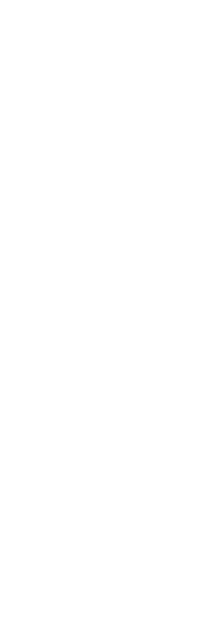PALACE LINER S-WAY 110 GSB