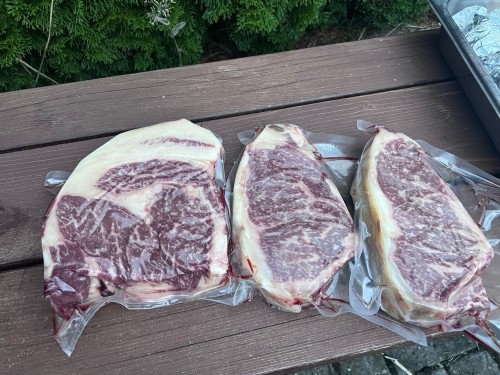 SETKÁNÍ MORELO 2025 NA LOUCE – 3.–5. 10. 2025 