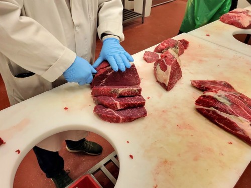 SETKÁNÍ MORELO 2025 NA LOUCE – 3.–5. 10. 2025 