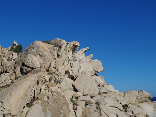 cestování s Morelem