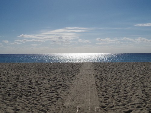 cestování s Morelem