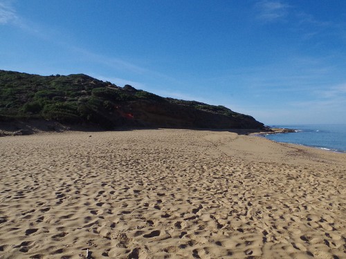 cestování s Morelem