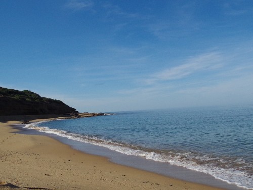 cestování s Morelem