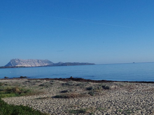 cestování s Morelem