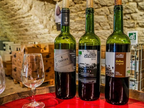 cestování s Morelem