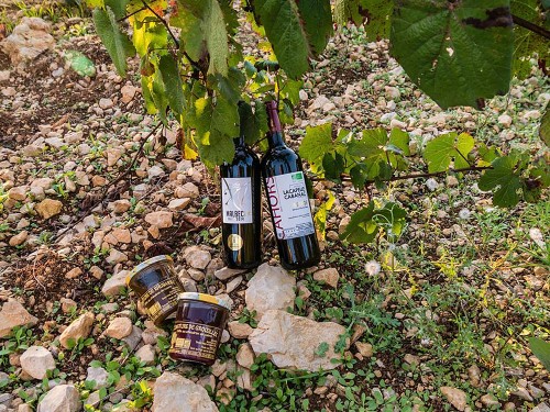 cestování s Morelem