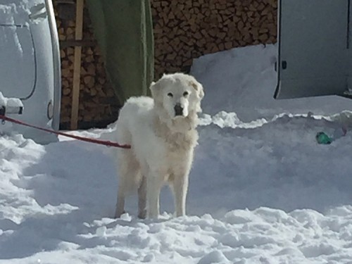 KEMP CARAVAN PARK SEXTEN