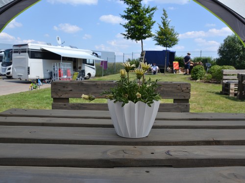 SLAVNOSTI MORELO 2018